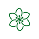 cropped-noun_Flower_2311259-1-1.png Energy Healing and Spiritual Practice
